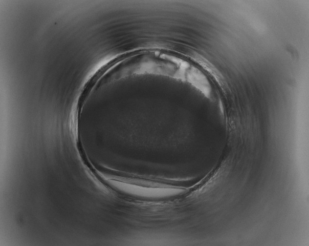 X0000116781127200912311852