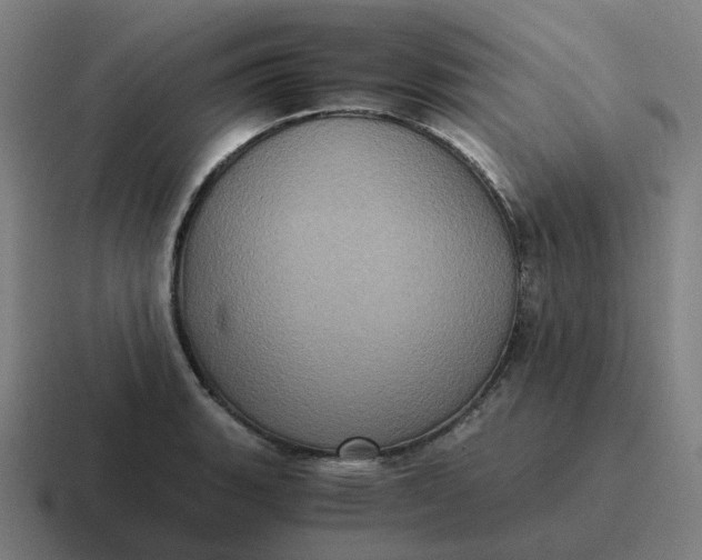 X0000116781135200912311852