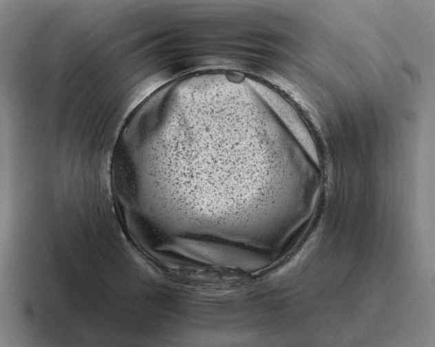 X0000116781137200912311852