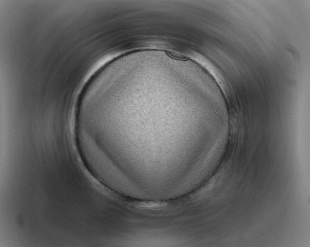X0000116781147200912311852