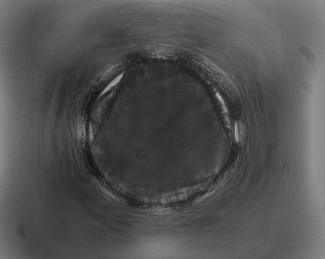 X0000116781155200912311852