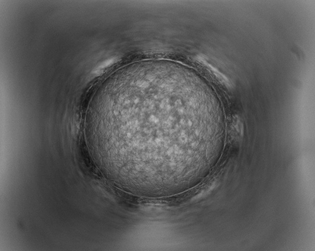 X0000116781157200912311852