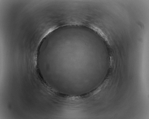 X0000116781165200912311852