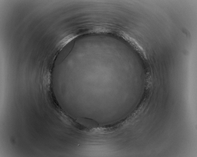 X0000116781169200912311852