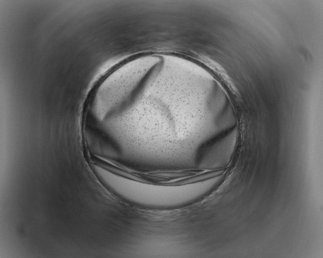 X0000116781176200912311851
