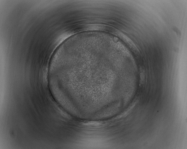 X0000116781178200912311851