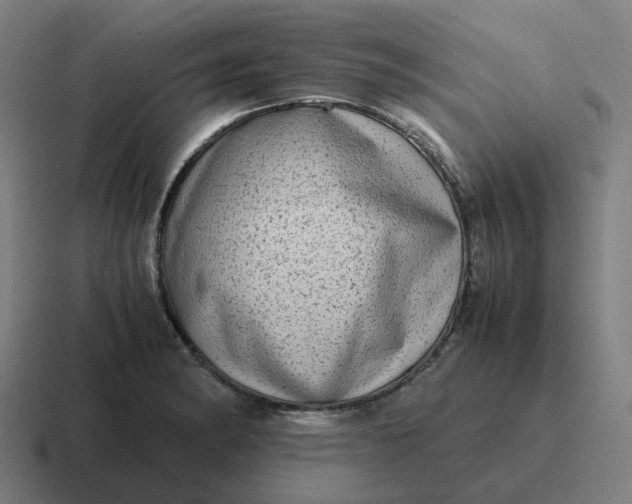 X0000116781182200912311851