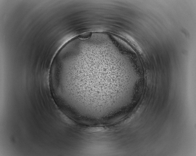 X0000116781186200912311851