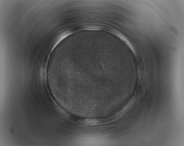X0000116781194200912311851