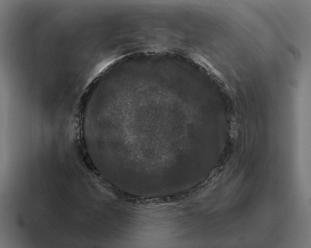 X0000116781208200912311851