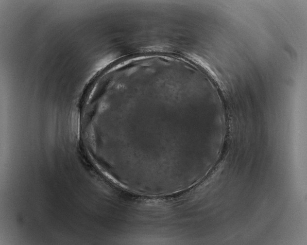 X0000116781219200912311851