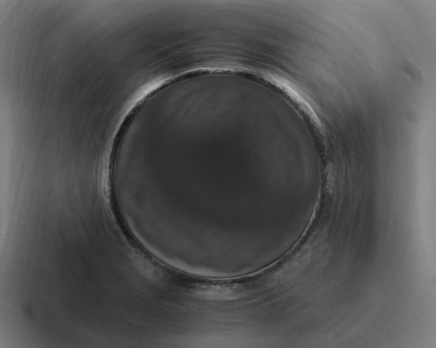 X0000116781229200912311851