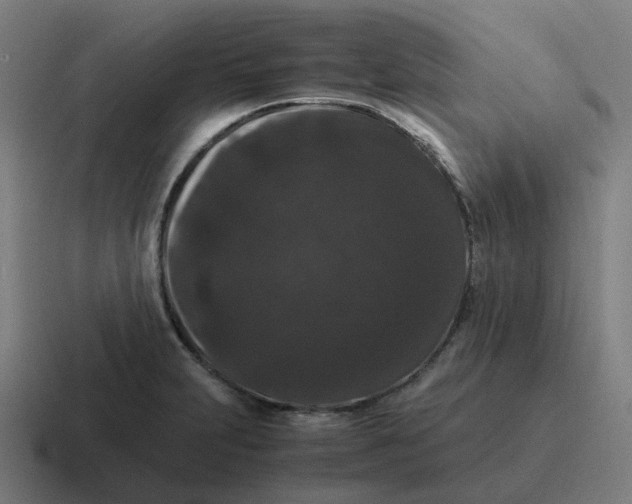X0000116781231200912311851