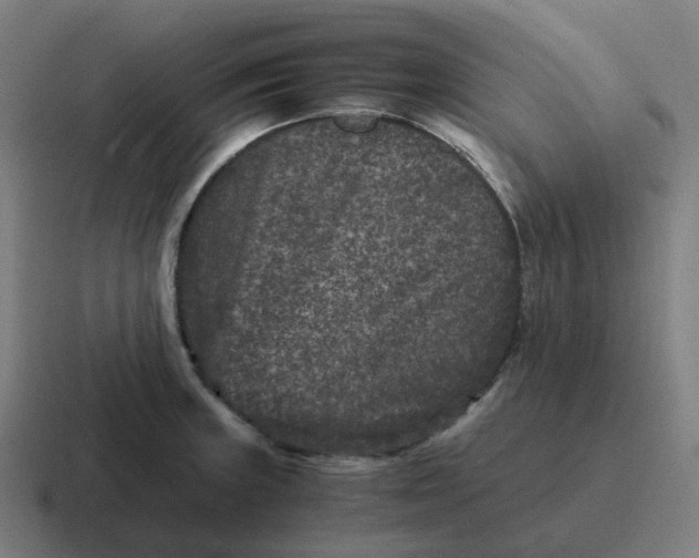 X0000116781235200912311851