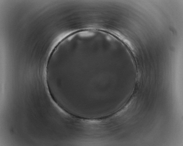 X0000116781239200912311851