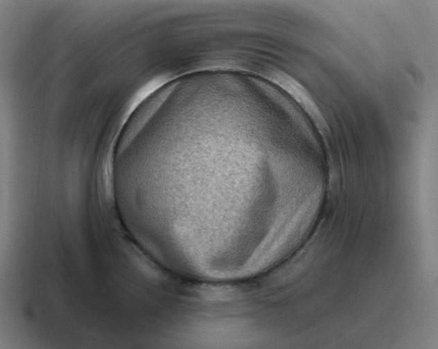 X0000116781242200912311851