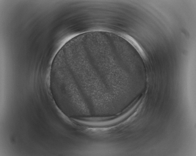 X0000116781244200912311851