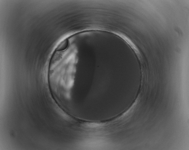 X0000116781246200912311851