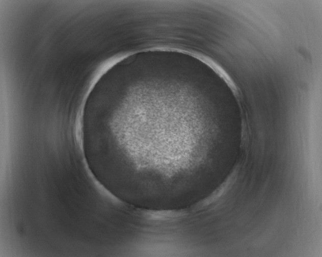 X0000116781247200912311851