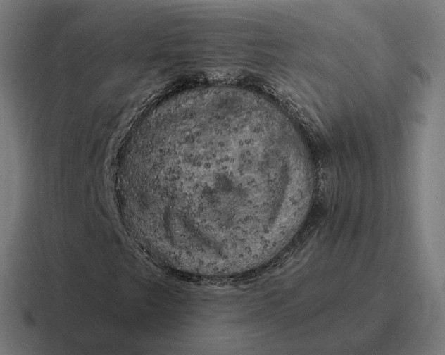 X0000116781249200912311851