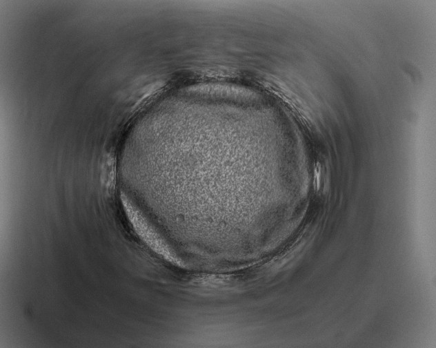 X0000116781251200912311851
