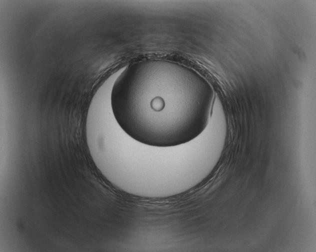 X0000116781252200912311851