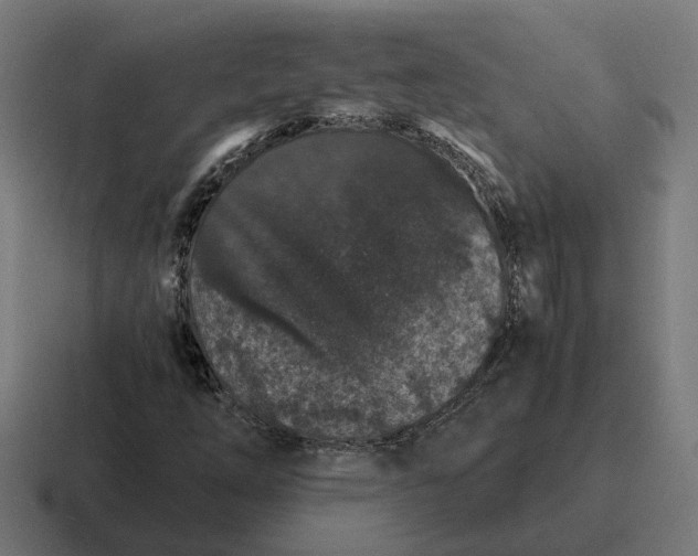 X0000116781254200912311851