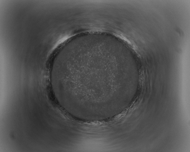 X0000116781255200912311850