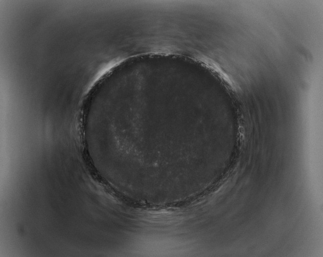 X0000116781256200912311850