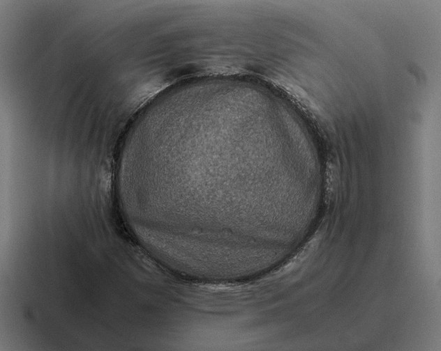X0000116781257200912311850