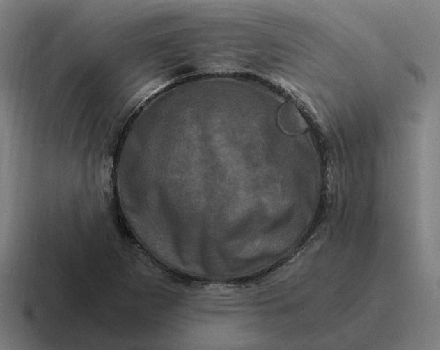 X0000116781265200912311850
