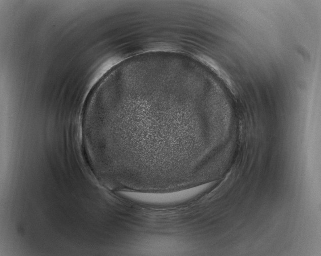 X0000116781274200912311850