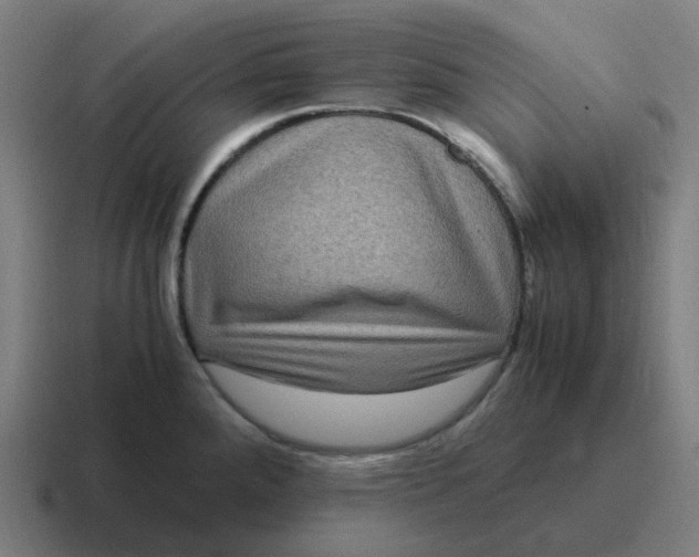 X0000116781288200912311850