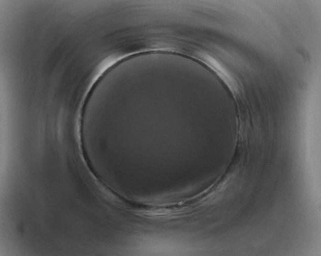 X0000116781291200912311850