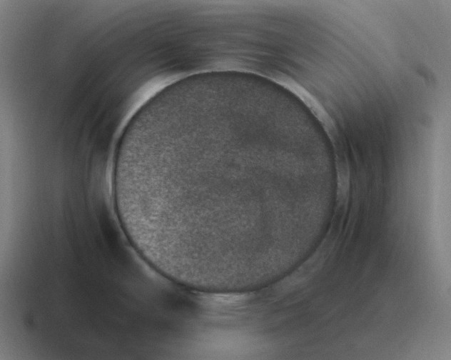 X0000116781294200912311850