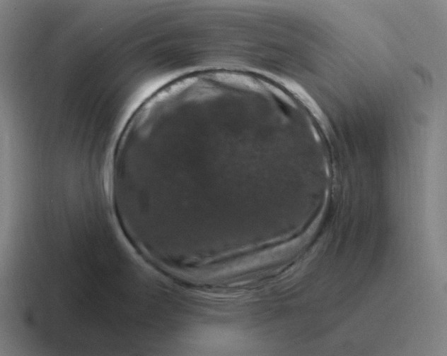 X0000116781295200912311850