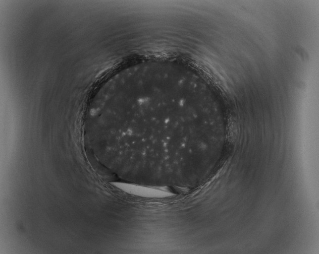 X0000116781297200912311849