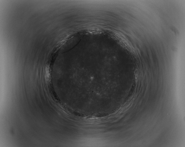 X0000116781298200912311849