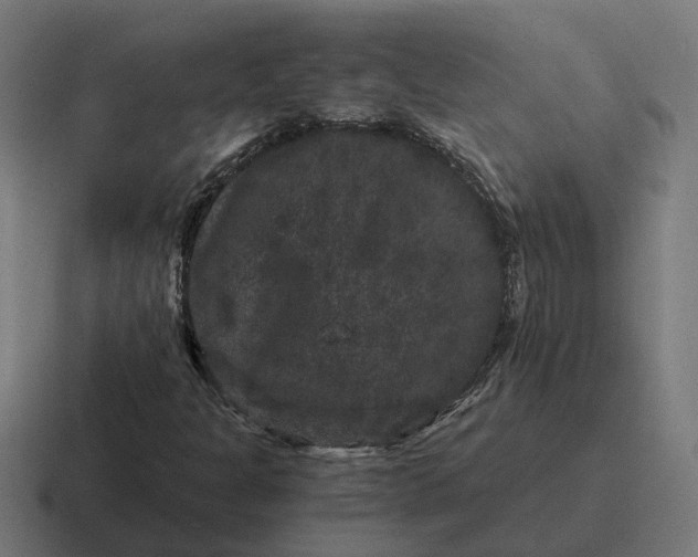 X0000116781301200912311849