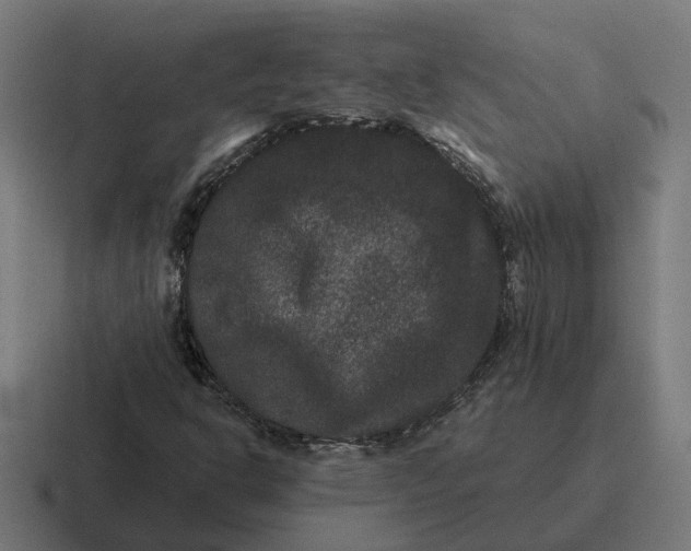 X0000116781302200912311849