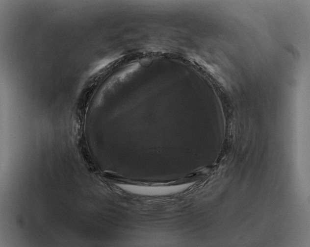 X0000116781303200912311849