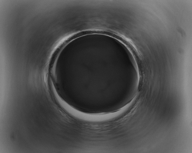X0000116781319200912311850