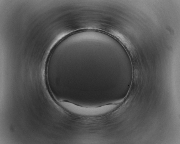 X0000116781331200912311850
