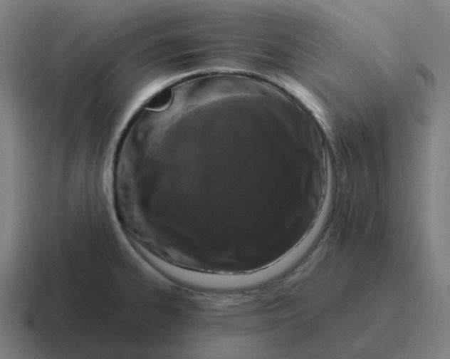 X0000116781334200912311850