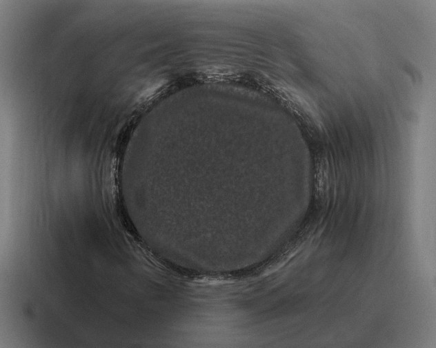 X0000116781346200912311849