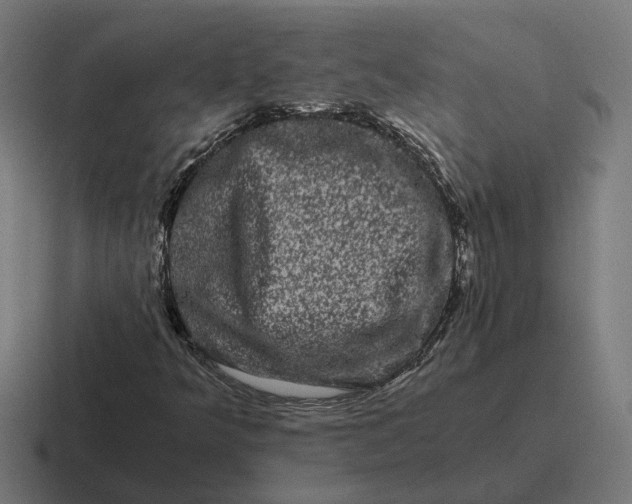 X0000116781349200912311849