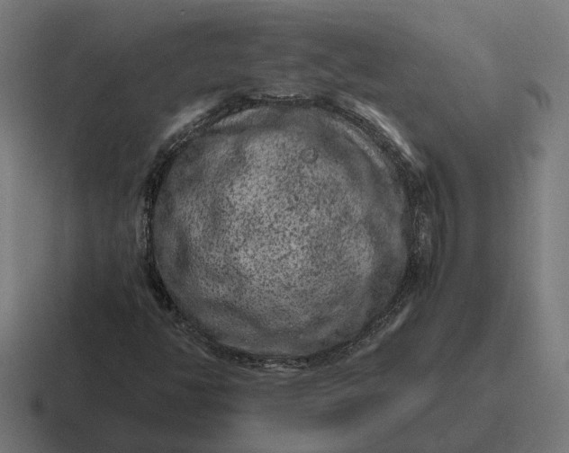 X0000116781350200912311849