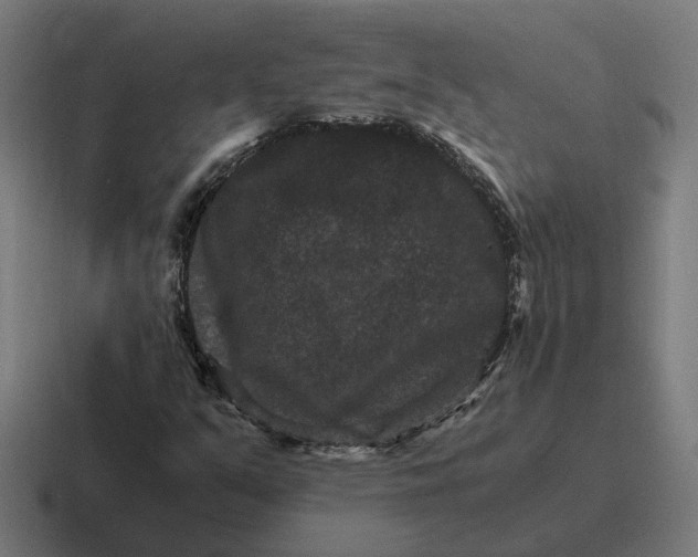 X0000116781351200912311849