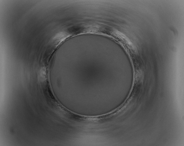 X0000116781353200912311849