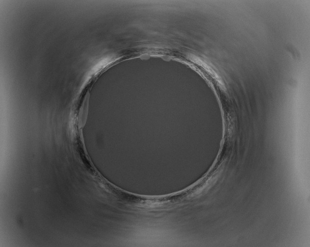 X0000116781357200912311849